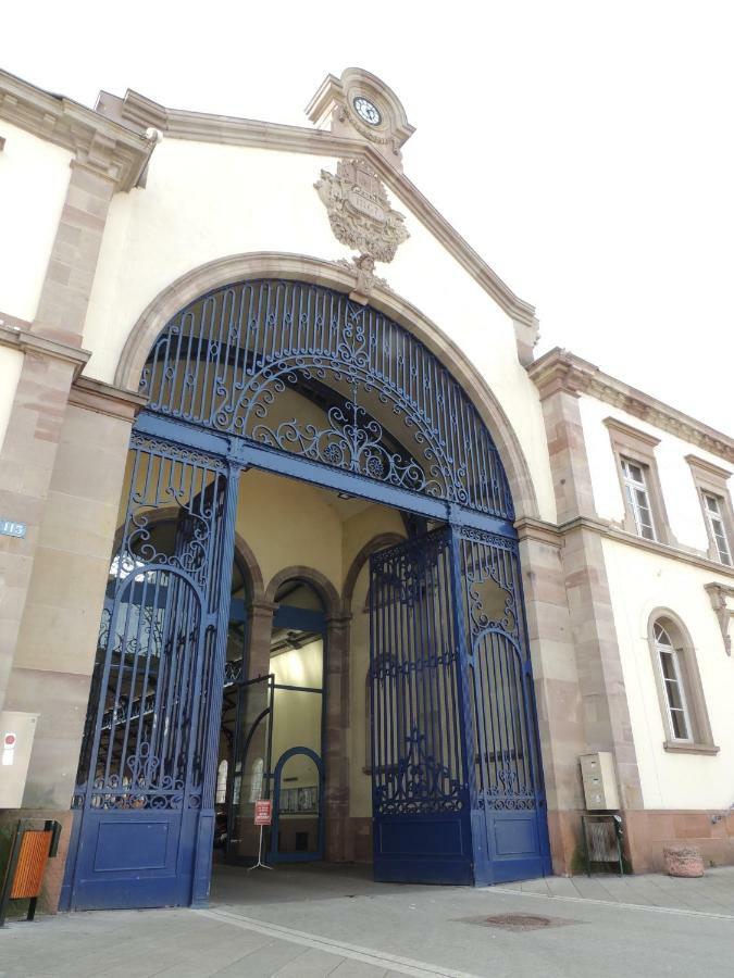 Appart'Azur Haguenau - Centre Grand'Rue - Logements Entiers Pour Voyageur Pro 外观 照片
