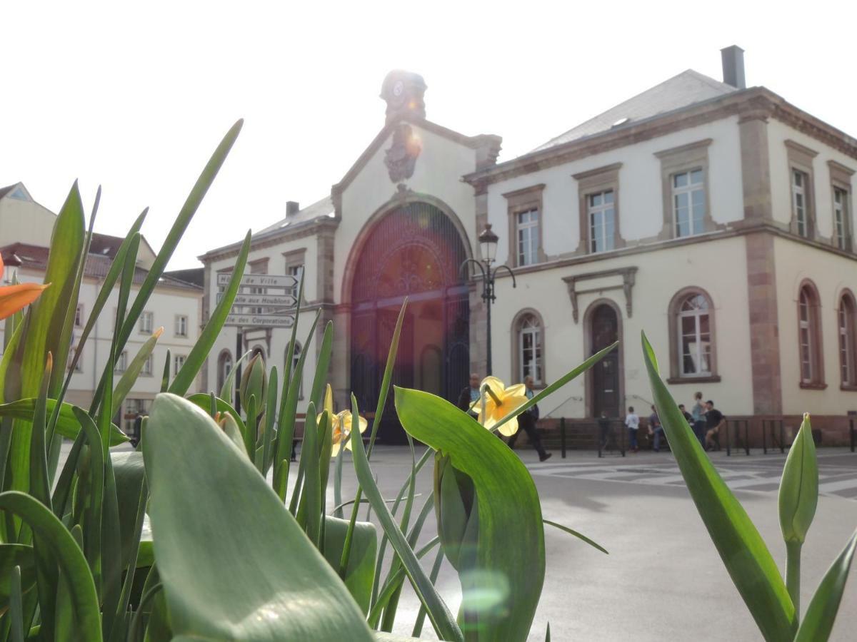 Appart'Azur Haguenau - Centre Grand'Rue - Logements Entiers Pour Voyageur Pro 外观 照片