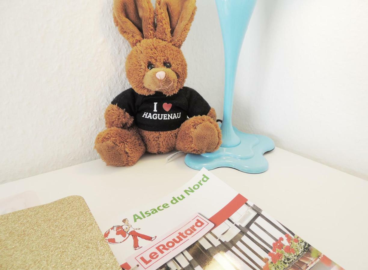 Appart'Azur Haguenau - Centre Grand'Rue - Logements Entiers Pour Voyageur Pro 外观 照片